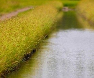 La nostra terra, un'oasi in città